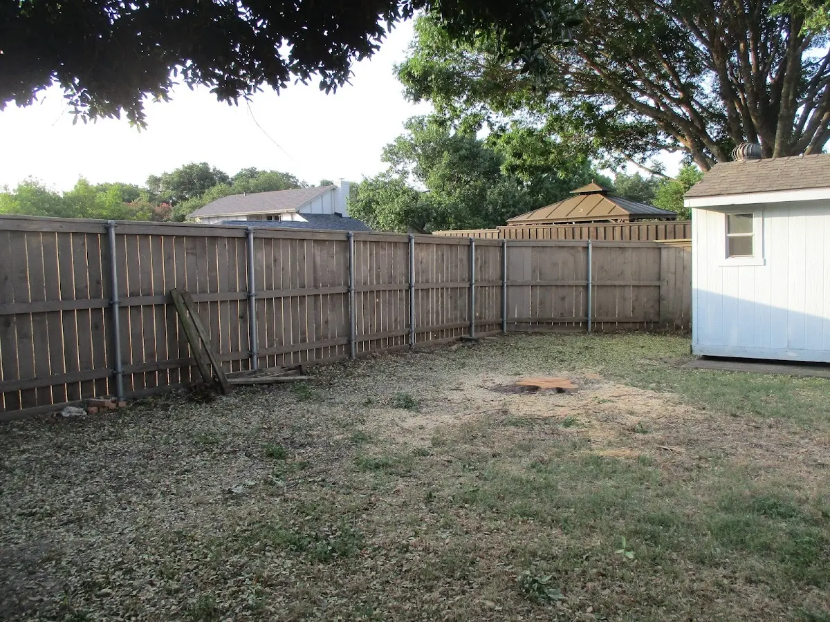 Cleared yard after professional tree removal in Altura